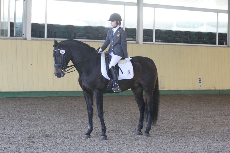 Concurso Internacional Paraecuestre en Cervia (Italia) . Participación Navarra de Natalia Quintana y Claudia Lazkoz